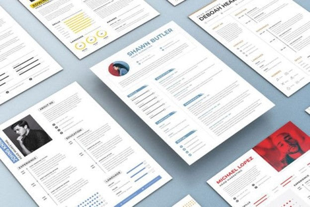 1000 Editable Resume Templates Bundle