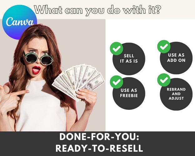 AI Bundle Starter Kit with MRR & PLR