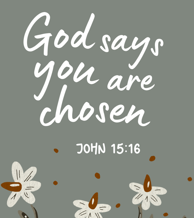 Bible Reading Plan