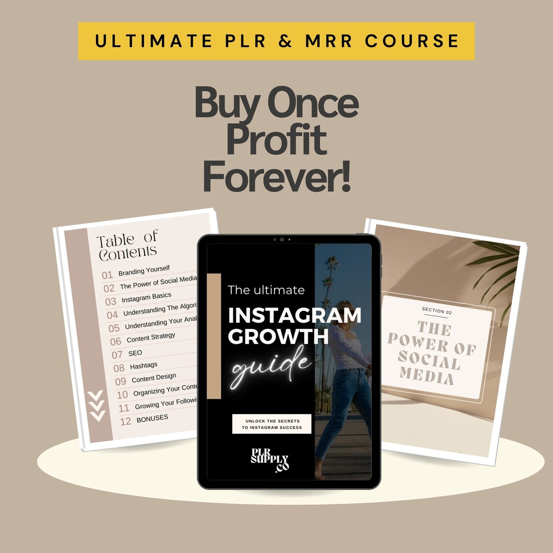Instagram Growth Course - Guide Canva Templates with PLR/MRR