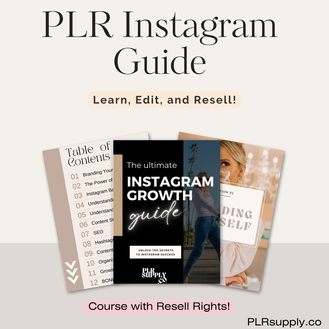 Instagram Growth Course - Guide Canva Templates with PLR/MRR
