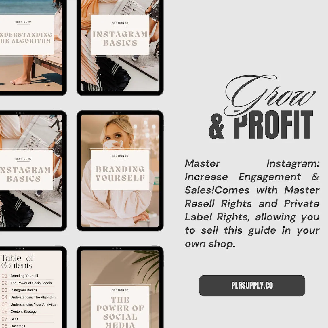 Instagram Growth Course - Guide Canva Templates with PLR/MRR