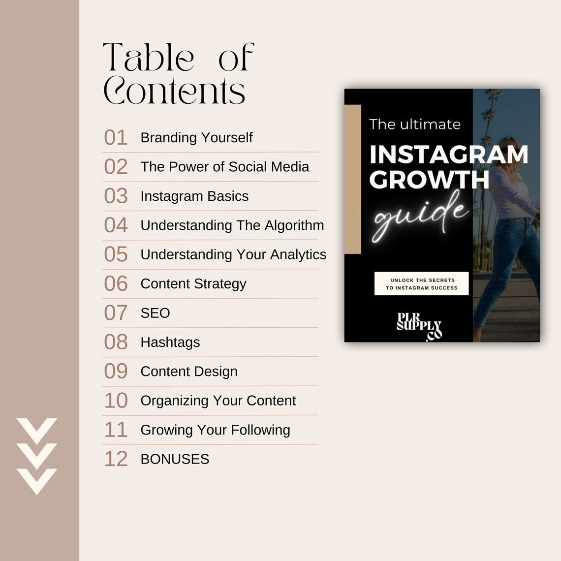 Instagram Growth Course - Guide Canva Templates with PLR/MRR