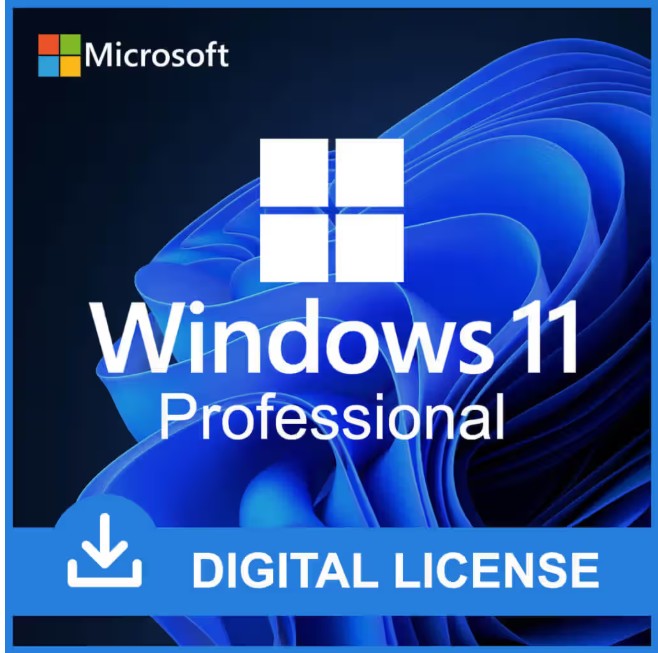 Windows 11 Professional