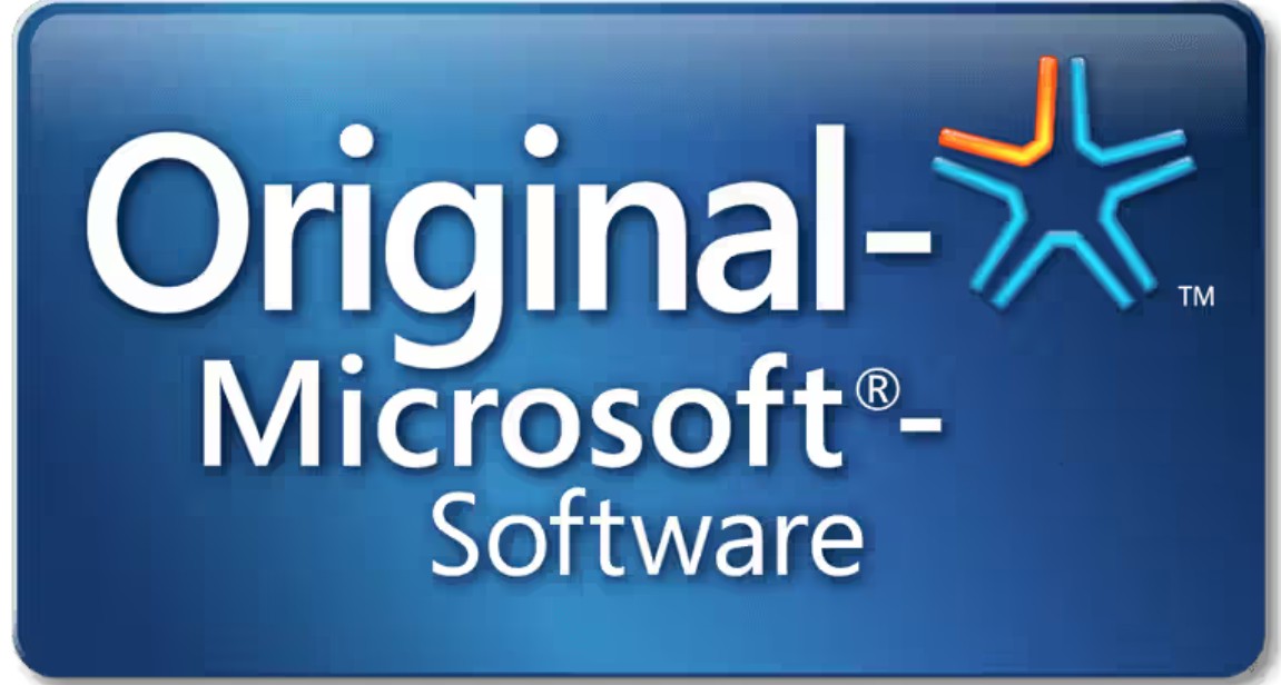 Microsoft Project 2024 Professional