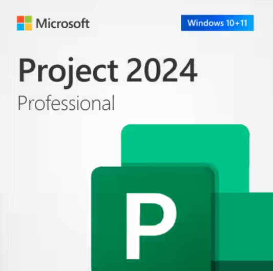 Microsoft Project 2024 Professional